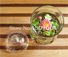 Load image into Gallery viewer, Sale 10 Pcs Mini Bowl lotus Bonsai Hydroponic Plants Aquatic Plants Seedsflower Pot Lotus Water Lily plant Bonsai Garden decor