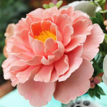 Load image into Gallery viewer, 20 pcs / bag Bonsai Rare Chinese Peony Planting Greenery Flowers Outdoor Terrace Courtyard Paeonia Flower for Home Garden Decor