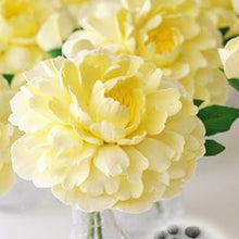 Load image into Gallery viewer, 20 pcs / bag Bonsai Rare Chinese Peony Planting Greenery Flowers Outdoor Terrace Courtyard Paeonia Flower for Home Garden Decor
