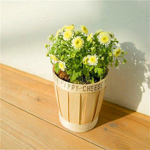 Load image into Gallery viewer, Big promotion! Violet daisy 100 / bag beautiful daisy bonsai flower natural plant home garden decoration free shipping