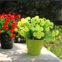 Load image into Gallery viewer, Big promotion! Violet daisy 100 / bag beautiful daisy bonsai flower natural plant home garden decoration free shipping