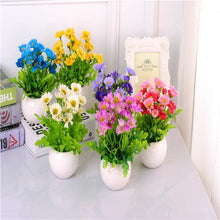 Load image into Gallery viewer, Big promotion! Violet daisy 100 / bag beautiful daisy bonsai flower natural plant home garden decoration free shipping