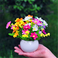 Load image into Gallery viewer, Big promotion! Violet daisy 100 / bag beautiful daisy bonsai flower natural plant home garden decoration free shipping