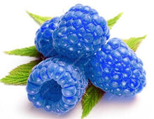 Load image into Gallery viewer, 300pcs Raspberry plants Mixed Colors Super Big Raspberry Fruit plants Rare Wild Strawberry Tree plants Flowers Bonsai For Garden