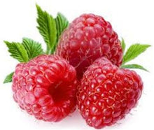 Load image into Gallery viewer, 300pcs Raspberry plants Mixed Colors Super Big Raspberry Fruit plants Rare Wild Strawberry Tree plants Flowers Bonsai For Garden