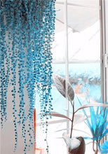 Load image into Gallery viewer, Sale! 200 Pcs Blue Pearl Chlorophytum Bonsai Office Desktop Flowers Succulents Anti-Radiation Computer Potted Plants Purify Air