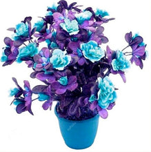 Load image into Gallery viewer, 50pcs Mini Bonsai Azalea Rhododendron Potted plants tree flower perennial Evergreen shrub plants DIY Home garden Decoration