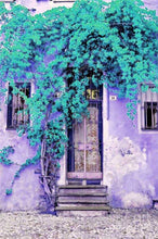 Load image into Gallery viewer, Bonsai 100 pcs Climbing Bougainvillea plant Bougainvillea Spectabilis Willd Climbing Plants Flower For Home Garden Easy to Grow