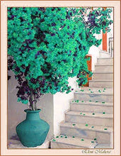 Load image into Gallery viewer, Bonsai 100 pcs Climbing Bougainvillea plant Bougainvillea Spectabilis Willd Climbing Plants Flower For Home Garden Easy to Grow