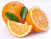 Load image into Gallery viewer, Bonsai 20 Pcs Orange Potted Edible Tangerine Citrus Fruit Dwarf Orange Tree Indoor Plant For Home Garden Non-GMO plants