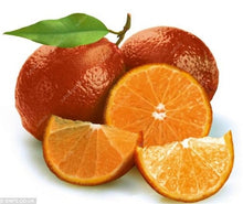 Load image into Gallery viewer, Bonsai 20 Pcs Orange Potted Edible Tangerine Citrus Fruit Dwarf Orange Tree Indoor Plant For Home Garden Non-GMO plants
