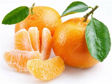 Load image into Gallery viewer, Bonsai 20 Pcs Orange Potted Edible Tangerine Citrus Fruit Dwarf Orange Tree Indoor Plant For Home Garden Non-GMO plants