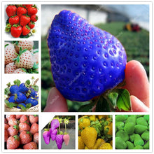 Load image into Gallery viewer, 1000 pcs Rare strawberry plants, giant strawberry Organic fruit flores vegetables Non-GMO bonsai pot for home garden planta