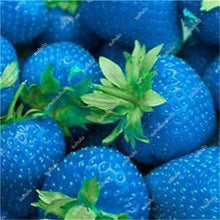 Load image into Gallery viewer, 1000 pcs Rare strawberry plants, giant strawberry Organic fruit flores vegetables Non-GMO bonsai pot for home garden planta
