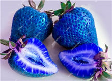 Load image into Gallery viewer, 1000 pcs Rare strawberry plants, giant strawberry Organic fruit flores vegetables Non-GMO bonsai pot for home garden planta