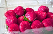 Load image into Gallery viewer, 1000 pcs Rare strawberry plants, giant strawberry Organic fruit flores vegetables Non-GMO bonsai pot for home garden planta