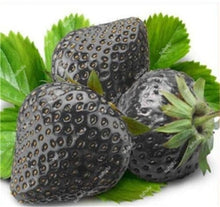 Load image into Gallery viewer, 1000 pcs Rare strawberry plants, giant strawberry Organic fruit flores vegetables Non-GMO bonsai pot for home garden planta