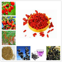 Load image into Gallery viewer, 2000Pcs 100% Genuine Black and red Goji Berry Chinese Wolfberry Bonsai Herbs Bonsai Potted Plant Home Garden Outdoor House Plant