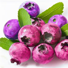 Load image into Gallery viewer, New! 100 pcs Perennial Blueberry Bonsai Edible Fruit Bonsai Indoor Outdoor Available Ornamental Bonsai Plants for Home Garden