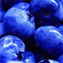 Load image into Gallery viewer, New! 100 pcs Perennial Blueberry Bonsai Edible Fruit Bonsai Indoor Outdoor Available Ornamental Bonsai Plants for Home Garden