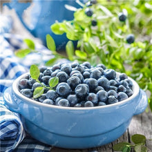 Load image into Gallery viewer, New! 100 pcs Perennial Blueberry Bonsai Edible Fruit Bonsai Indoor Outdoor Available Ornamental Bonsai Plants for Home Garden