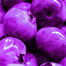 Load image into Gallery viewer, New! 100 pcs Perennial Blueberry Bonsai Edible Fruit Bonsai Indoor Outdoor Available Ornamental Bonsai Plants for Home Garden