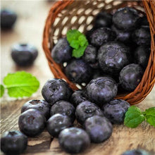 Load image into Gallery viewer, New! 100 pcs Perennial Blueberry Bonsai Edible Fruit Bonsai Indoor Outdoor Available Ornamental Bonsai Plants for Home Garden