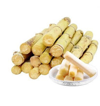 Load image into Gallery viewer, 100 Pcs Colorful Sugar Cane Bonsai Plants Natural Rainbow Vegatable Po For Home Garden Medicinal Vitamin Huge Sweet Chew