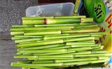 Load image into Gallery viewer, 100 Pcs Colorful Sugar Cane Bonsai Plants Natural Rainbow Vegatable Po For Home Garden Medicinal Vitamin Huge Sweet Chew