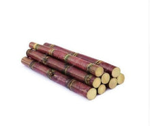 Load image into Gallery viewer, 100 Pcs Colorful Sugar Cane Bonsai Plants Natural Rainbow Vegatable Po For Home Garden Medicinal Vitamin Huge Sweet Chew