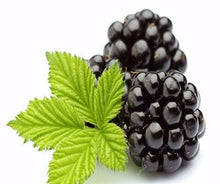 Load image into Gallery viewer, 200 pcs Mulberry Bonsai Sweet Black Berry Giant Plants Miracle Fruit plant Tohum Rare Tree Bonsai Garden Bush DIY Home Garden