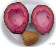 Load image into Gallery viewer, 5 pcs Avocado Bonsai Green Fruit Delicious Persea Americana Mill Pear Bonsai Easy To Grow Fruit Bonsai For Home Garden Plant