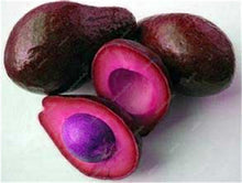 Load image into Gallery viewer, 5 pcs Avocado Bonsai Green Fruit Delicious Persea Americana Mill Pear Bonsai Easy To Grow Fruit Bonsai For Home Garden Plant