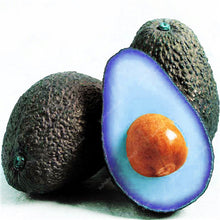 Load image into Gallery viewer, 5 pcs Avocado Bonsai Green Fruit Delicious Persea Americana Mill Pear Bonsai Easy To Grow Fruit Bonsai For Home Garden Plant