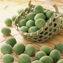 Load image into Gallery viewer, 3 pcs Plum Bonsai Very Tasty Prune Fruit Bonsai Tree Jardin Bonsai Vegetables And Fruits Pot Plant Easy Grow Free Shipping