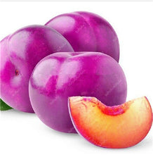 Load image into Gallery viewer, 3 pcs Plum Bonsai Very Tasty Prune Fruit Bonsai Tree Jardin Bonsai Vegetables And Fruits Pot Plant Easy Grow Free Shipping
