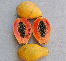 Load image into Gallery viewer, 20 Pcs Giant Fresh Papaya Bonsai Natural Organic Fruit Tree Bonsai Perennial Potted Plants for Home Garden Spring Farm Supplies