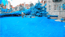 Load image into Gallery viewer, Big sale! 500 Pcs Sky Blue Grass bonsai Rare Lawn bonsai, Perennial Garden Outdoor Ornamentals Grass Germination Rate of 95%+