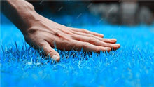 Load image into Gallery viewer, Big sale! 500 Pcs Sky Blue Grass bonsai Rare Lawn bonsai, Perennial Garden Outdoor Ornamentals Grass Germination Rate of 95%+