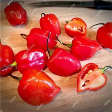 Load image into Gallery viewer, 1000 Pcs Sweet Pepper Bonsai Colorful Mix High Quality Sweet Bell Pepper Bonsai Vegetables Paprika Home Garden Bonsai Plants