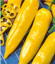 Load image into Gallery viewer, 1000 Pcs Sweet Pepper Bonsai Colorful Mix High Quality Sweet Bell Pepper Bonsai Vegetables Paprika Home Garden Bonsai Plants