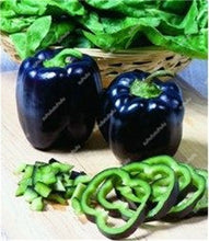 Load image into Gallery viewer, 1000 Pcs Sweet Pepper Bonsai Colorful Mix High Quality Sweet Bell Pepper Bonsai Vegetables Paprika Home Garden Bonsai Plants