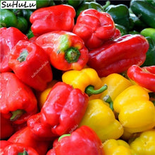 Load image into Gallery viewer, 1000 Pcs Sweet Pepper Bonsai Colorful Mix High Quality Sweet Bell Pepper Bonsai Vegetables Paprika Home Garden Bonsai Plants