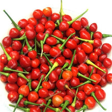 Load image into Gallery viewer, 1000 Pcs Sweet Pepper Bonsai Colorful Mix High Quality Sweet Bell Pepper Bonsai Vegetables Paprika Home Garden Bonsai Plants