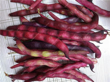Load image into Gallery viewer, 20 Pcs Chinese Bean bonsai, vanilla beans bonsai,High-Yield plant,Delicious Vegetable Edible food balcony potted garden plants