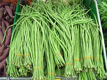 Load image into Gallery viewer, 20 Pcs Chinese Bean bonsai, vanilla beans bonsai,High-Yield plant,Delicious Vegetable Edible food balcony potted garden plants