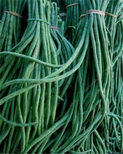 Load image into Gallery viewer, 20 Pcs Chinese Bean bonsai, vanilla beans bonsai,High-Yield plant,Delicious Vegetable Edible food balcony potted garden plants