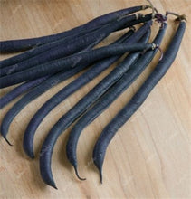 Load image into Gallery viewer, 20 Pcs Chinese Bean bonsai, vanilla beans bonsai,High-Yield plant,Delicious Vegetable Edible food balcony potted garden plants