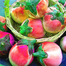Load image into Gallery viewer, 100 pcs Rare eggplant bonsai flower potted plant organic vegetable trees southern United States Bonsai sweet fruit Easy to Grow