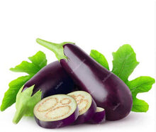 Load image into Gallery viewer, 100 pcs Rare eggplant bonsai flower potted plant organic vegetable trees southern United States Bonsai sweet fruit Easy to Grow